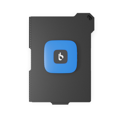 BigBlue SolarPowa P25 25W / 460g